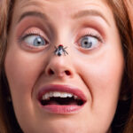 Flies, Gnats, Spiders… Oh My! (Listener Favorite Rewind)