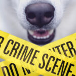 Behind the Yellow Tape: Death Investigation in Cases of Animal Consumption