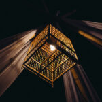 Caged in Horror: The Cassidy Rainwater Tragedy