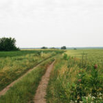 Gone But Not Forgotten: The Tragic Case of Laura Wallen