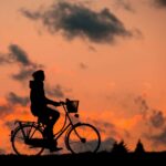 Suzanne Morphew: Vanished Mom and Wildlife Drugs